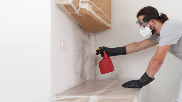 Professional Attic Mold Remediation technician working in New Columbia, PA