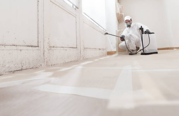 24/7 Emergency Attic Mold Remediation experts in New Columbia, PA