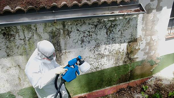 Top rated local Attic Mold Remediation specialists in New Columbia, PA